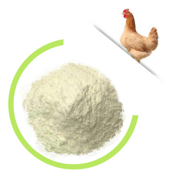 Click Popular 100% Pure Chicken Cartilage Collagen Powder Type 2 For Oem Supplement